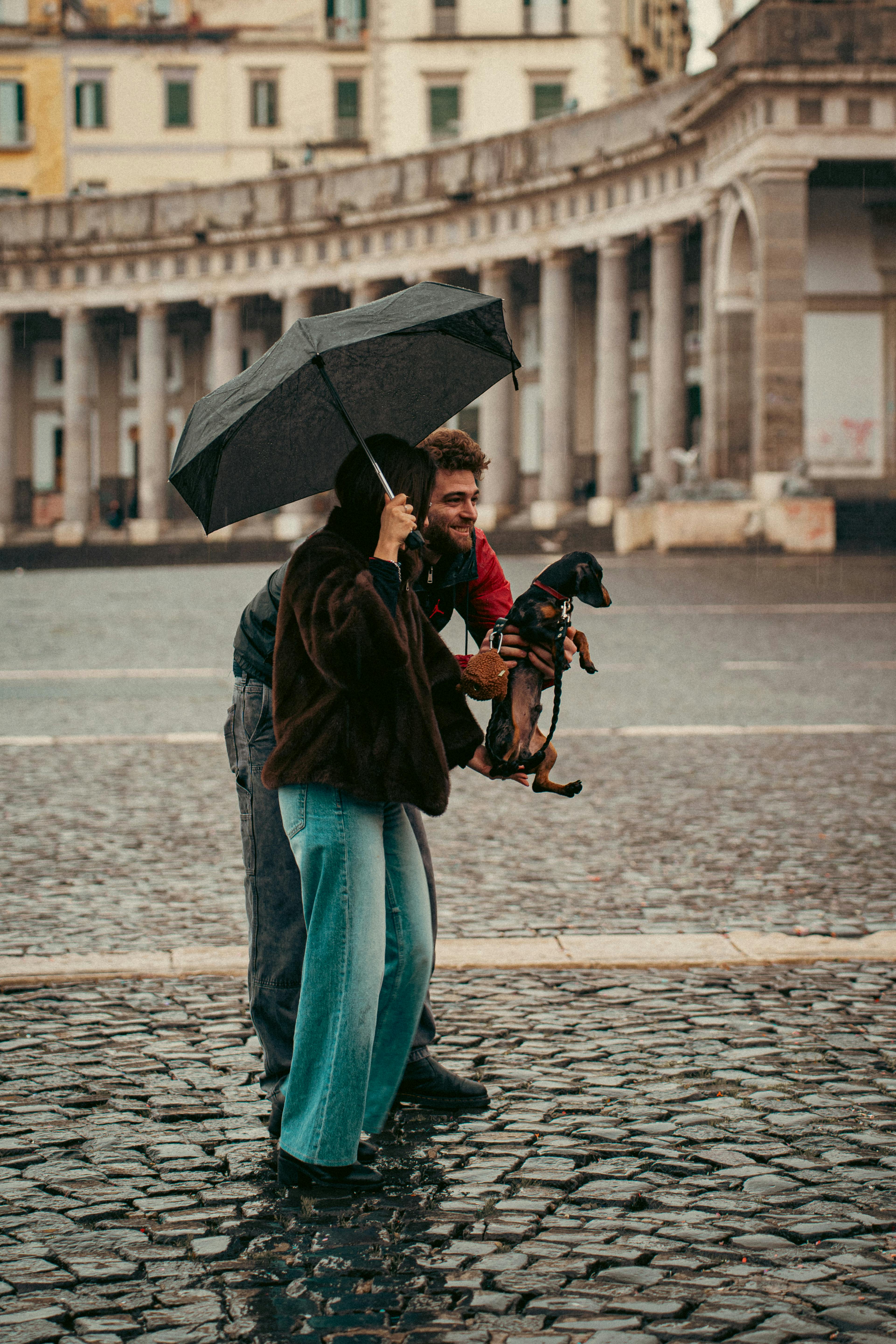 無料 イタリアのナポリで、雨の日にカップルが傘の下に犬を避難させている。 写真素材