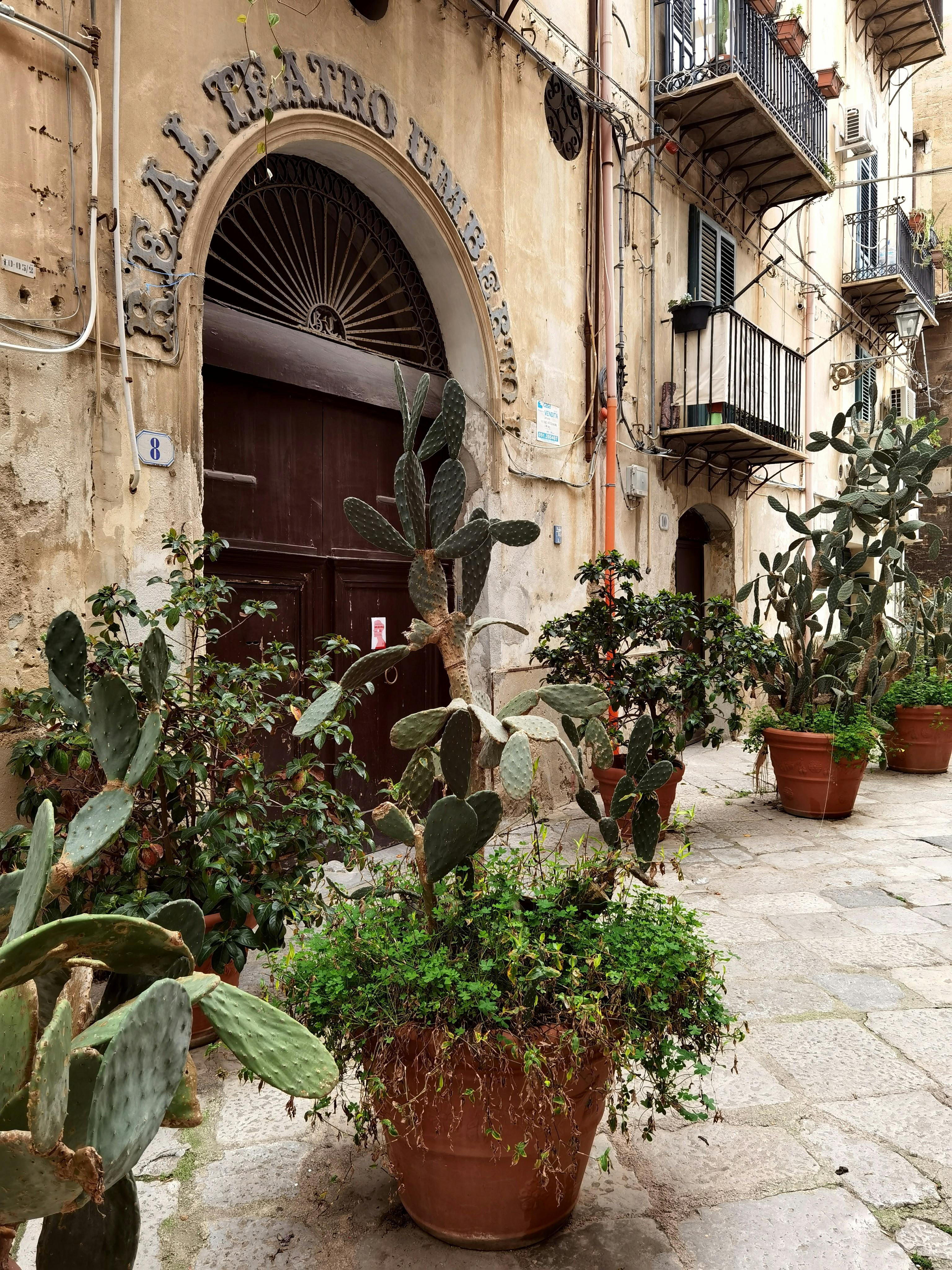 無料 アーバンガーデニング, イタリアのファサード, イタリア建築の無料の写真素材 写真素材