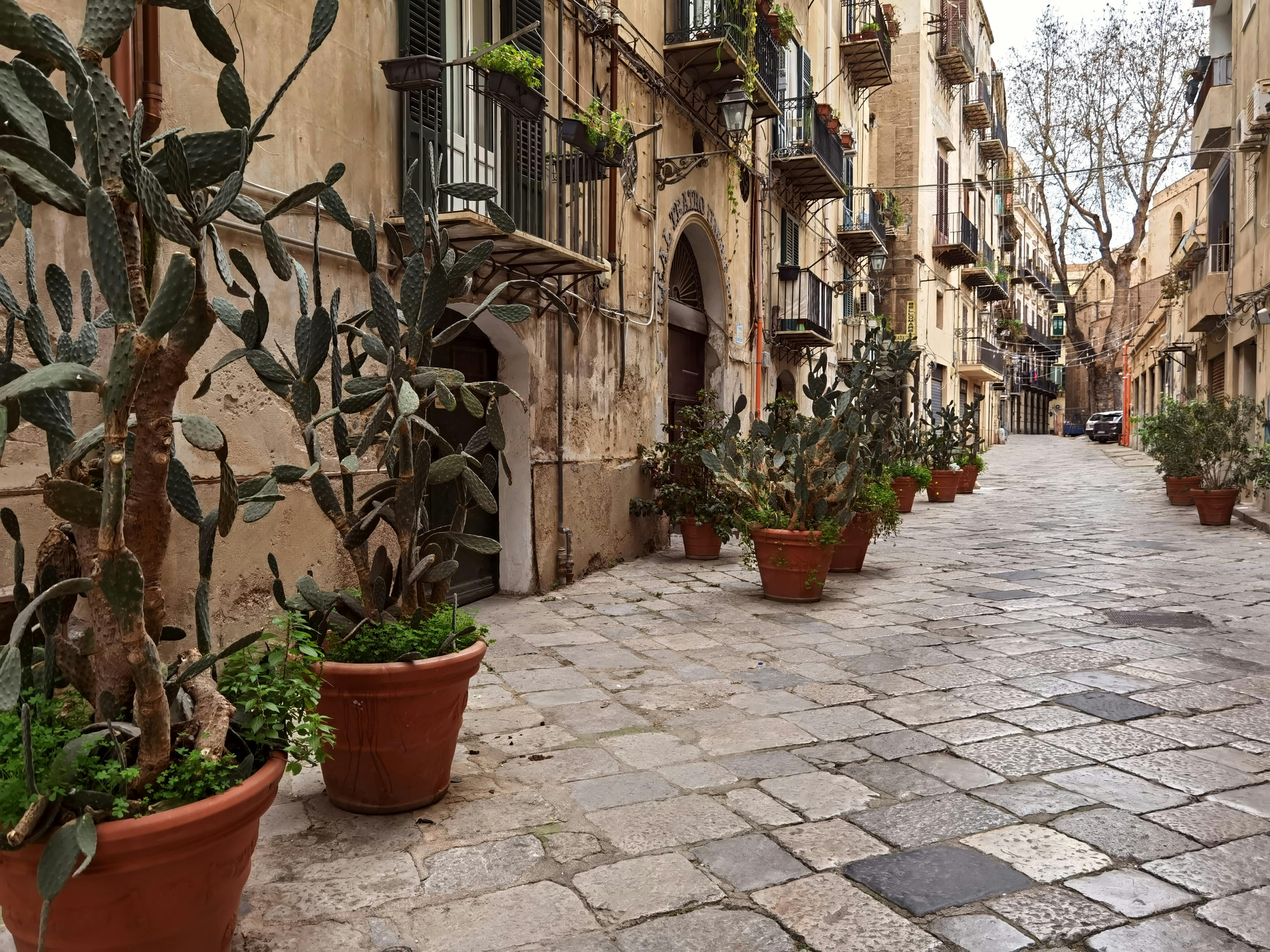 無料 鉢植えのサボテンと歴史的建築物が並ぶ、イタリアの旧市街の絵のように美しい路地。 写真素材