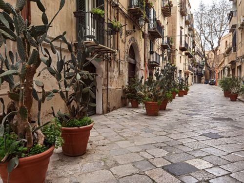 Free Picturesque alleyway in an Italian old town with potted cactus plants and historic architecture. Stock Photo