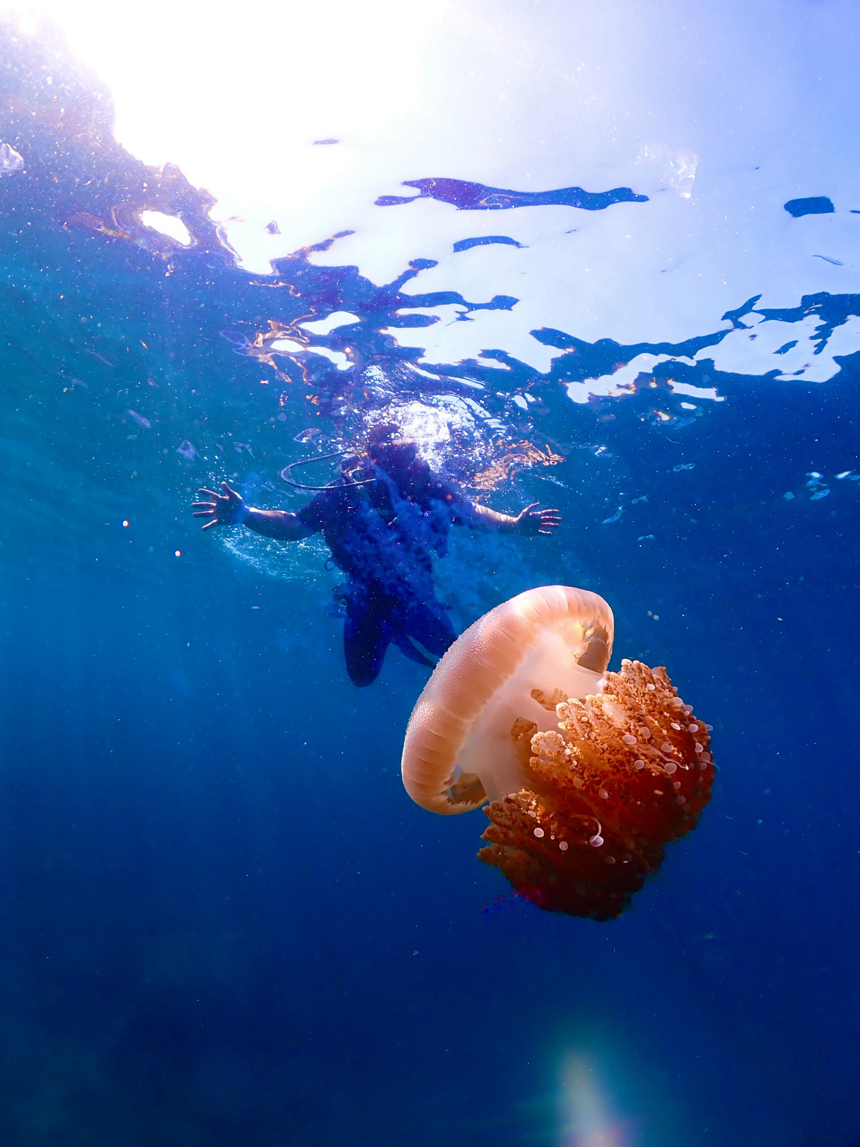 Gratis Foto stok gratis air biru, Air jernih, aktivitas di luar ruangan Foto Stok