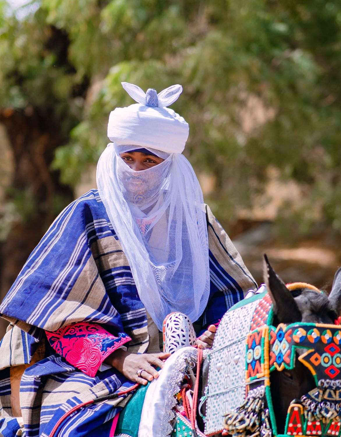 African Rider Cultural Portrait of a Traditional Nigerian Rider · Free Stock Photo
