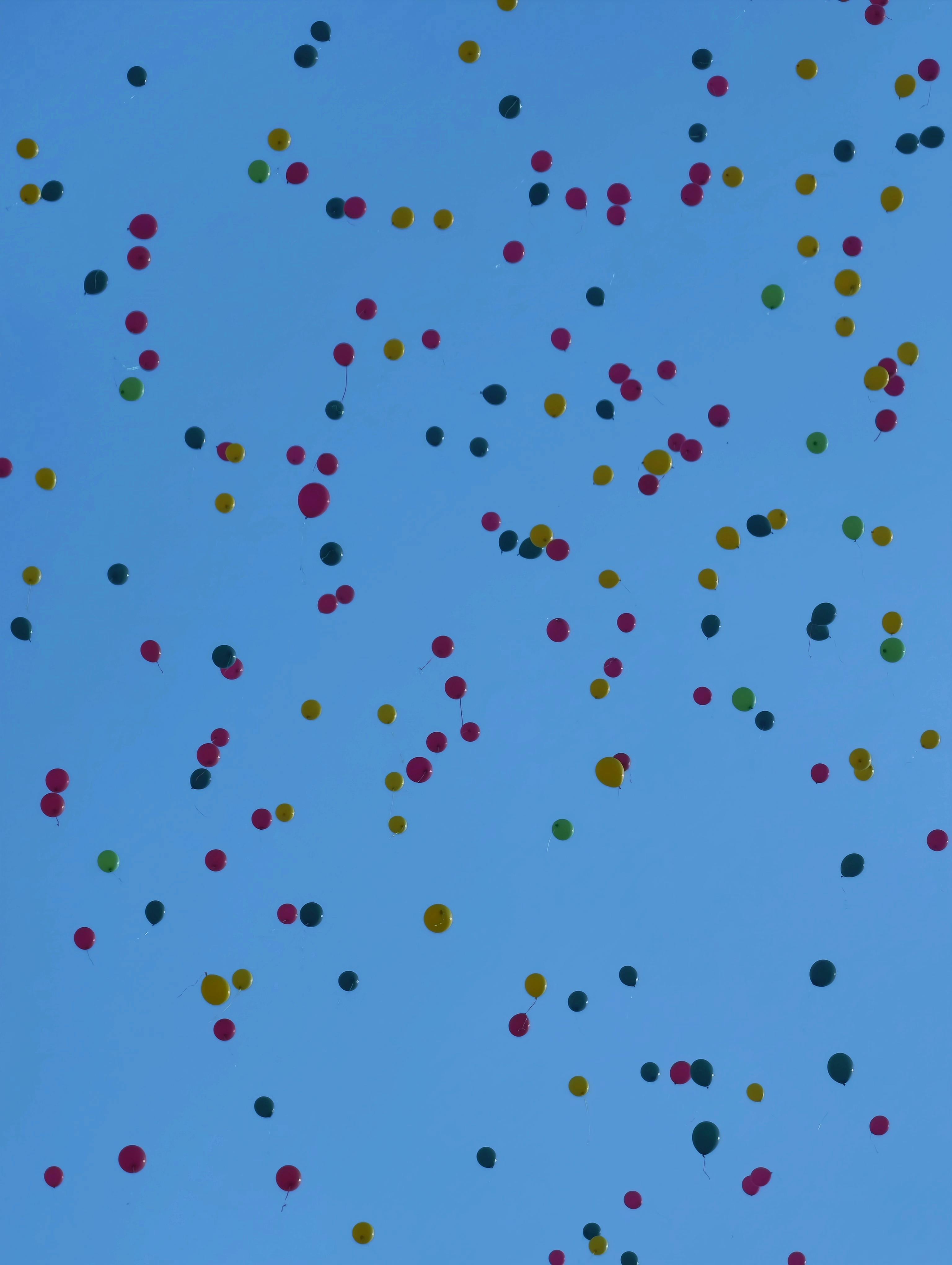 бесплатная Бесплатное стоковое фото с беззаботный, бодрый, ввысь Стоковое фото