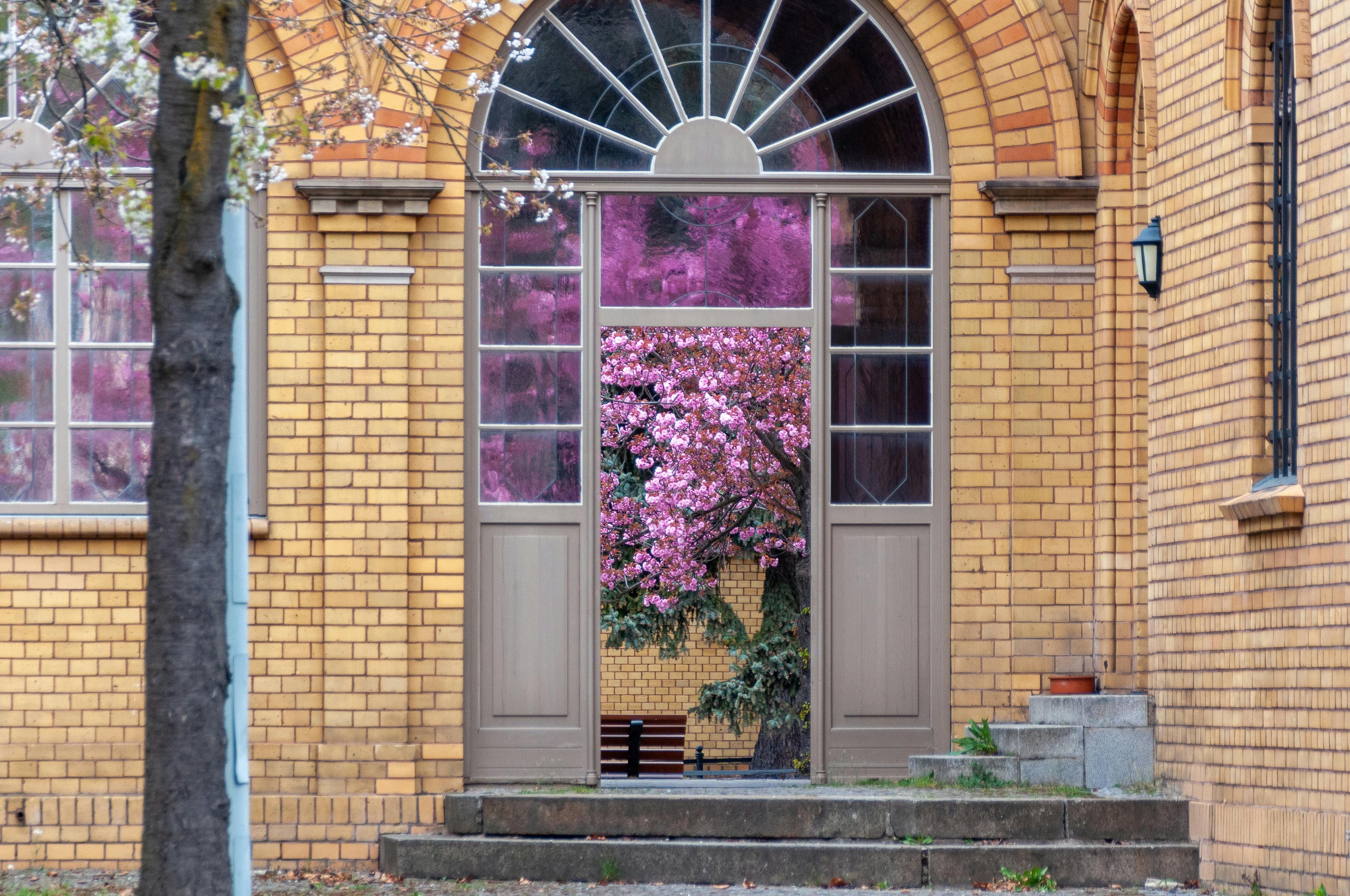 無料 魅力的なレンガ造りの玄関は、春には鮮やかな花を咲かせる木を囲み、絵のように美しい景色を作り出します。 写真素材