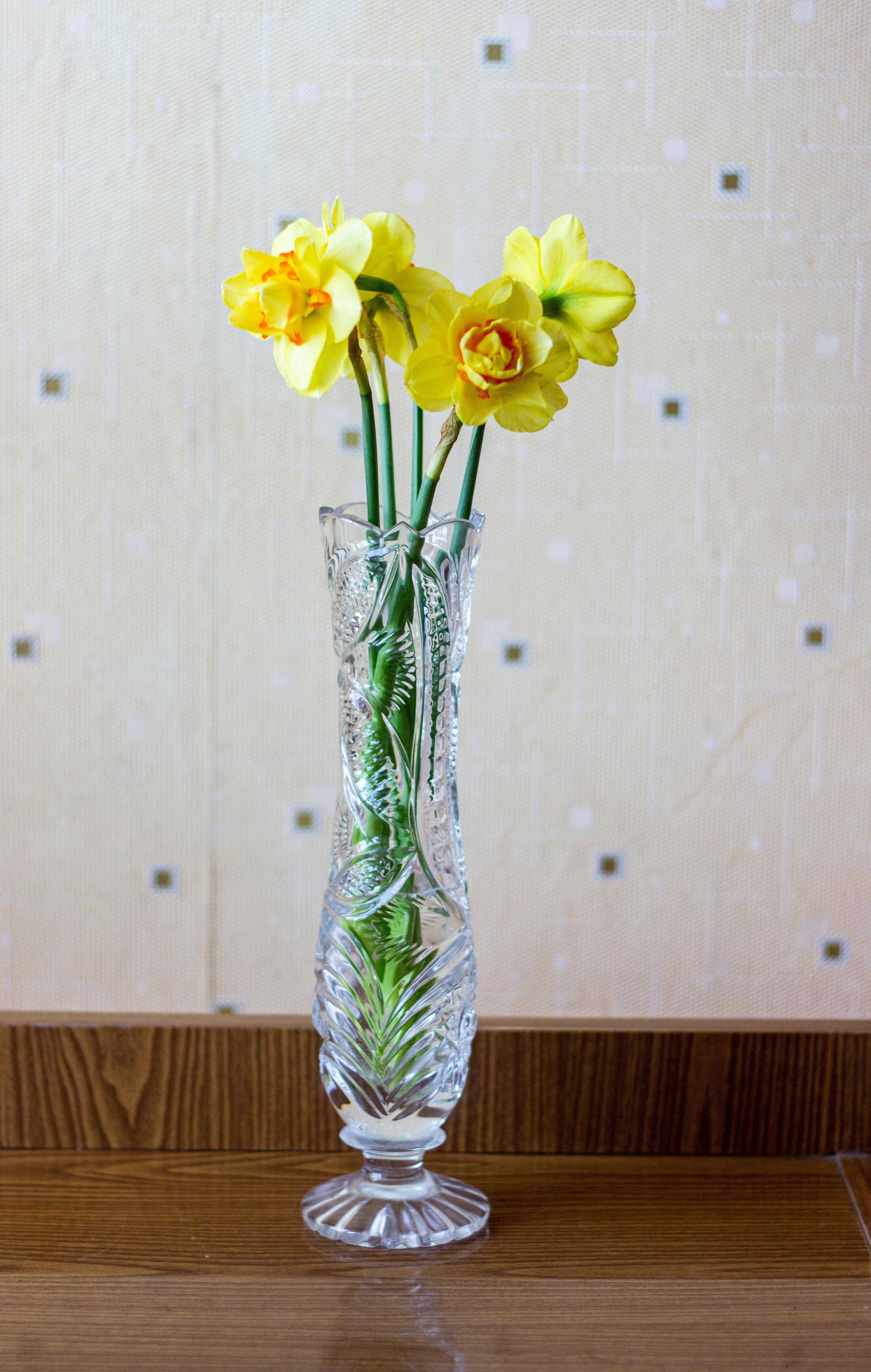 Free A stunning crystal vase holds vibrant yellow daffodils, perfect for spring decor. Stock Photo