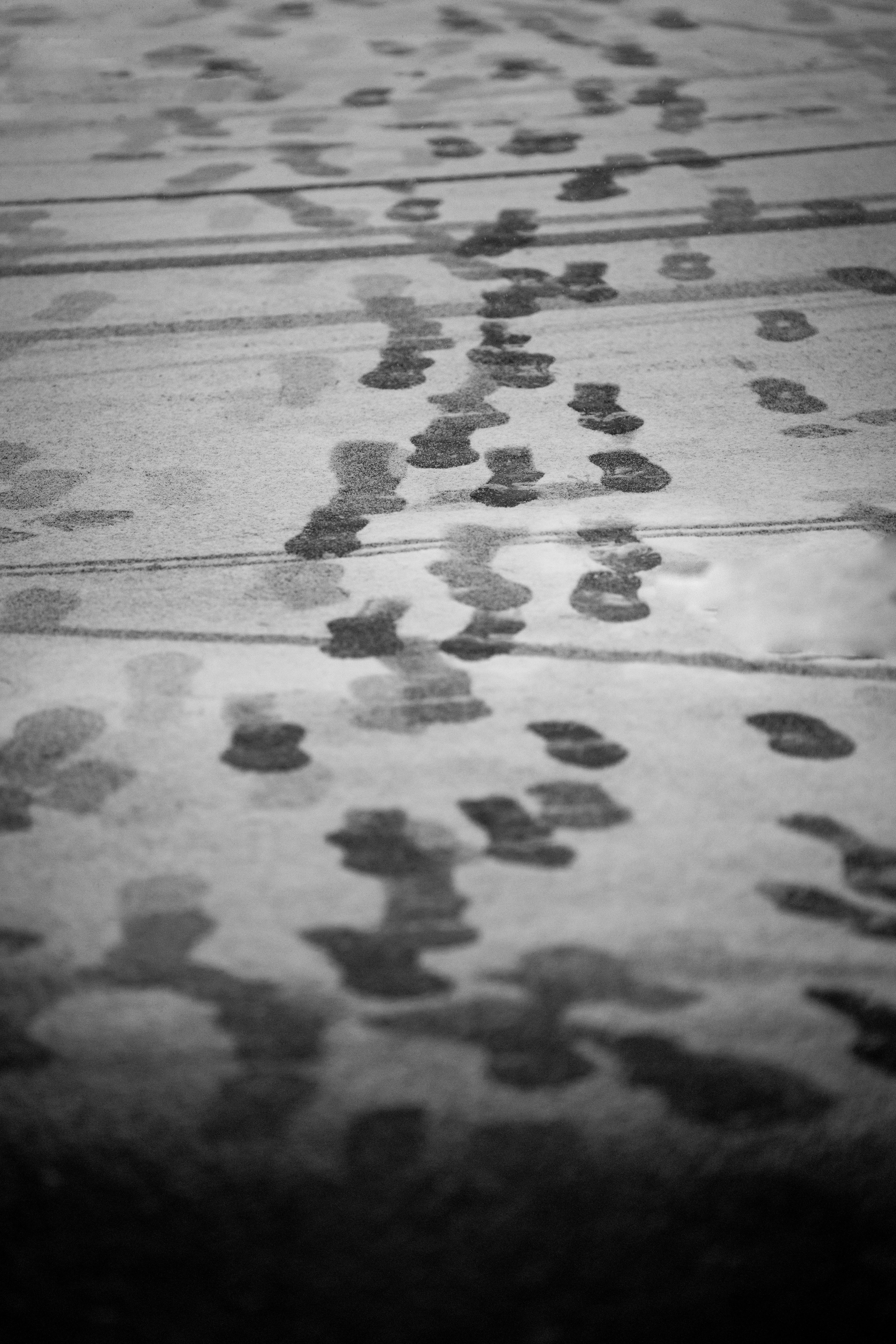 Gratuit Photo en noir et blanc à l'atmosphère mélancolique, montrant des empreintes de pas sur du sable mouillé, évoquant la solitude et le mystère. Photos