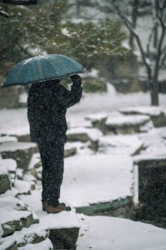 A person with blue umbrella gazes over a snowy landscape, creating a serene winter scene.