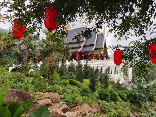 Free Serene Asian temple surrounded by lush greenery and festive red lanterns. Stock Photo
