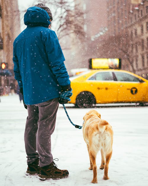 Uomo Con Il Cane Al Guinzaglio