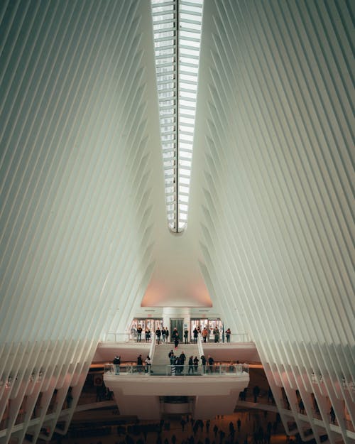 People Inside a Modern Building