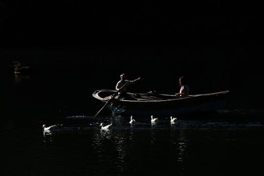Free stock photo of outdoor serenity