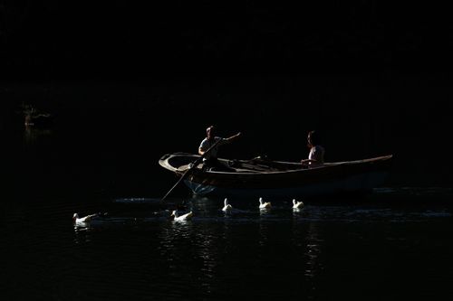 Free Two people rowing a boat on a serene lake in Artvin, Türkiye, accompanied by ducks. Stock Photo