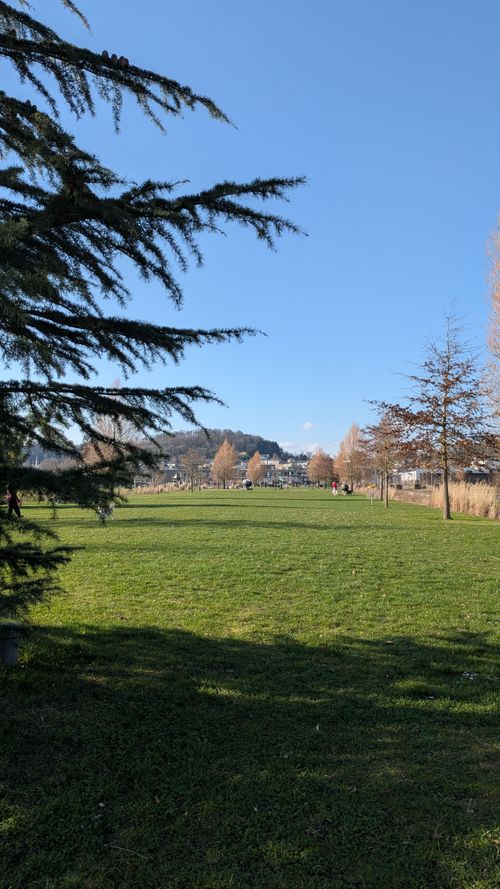 Free stock photo of contemporary park, developing neighborhood, luxembourg Stock Photo