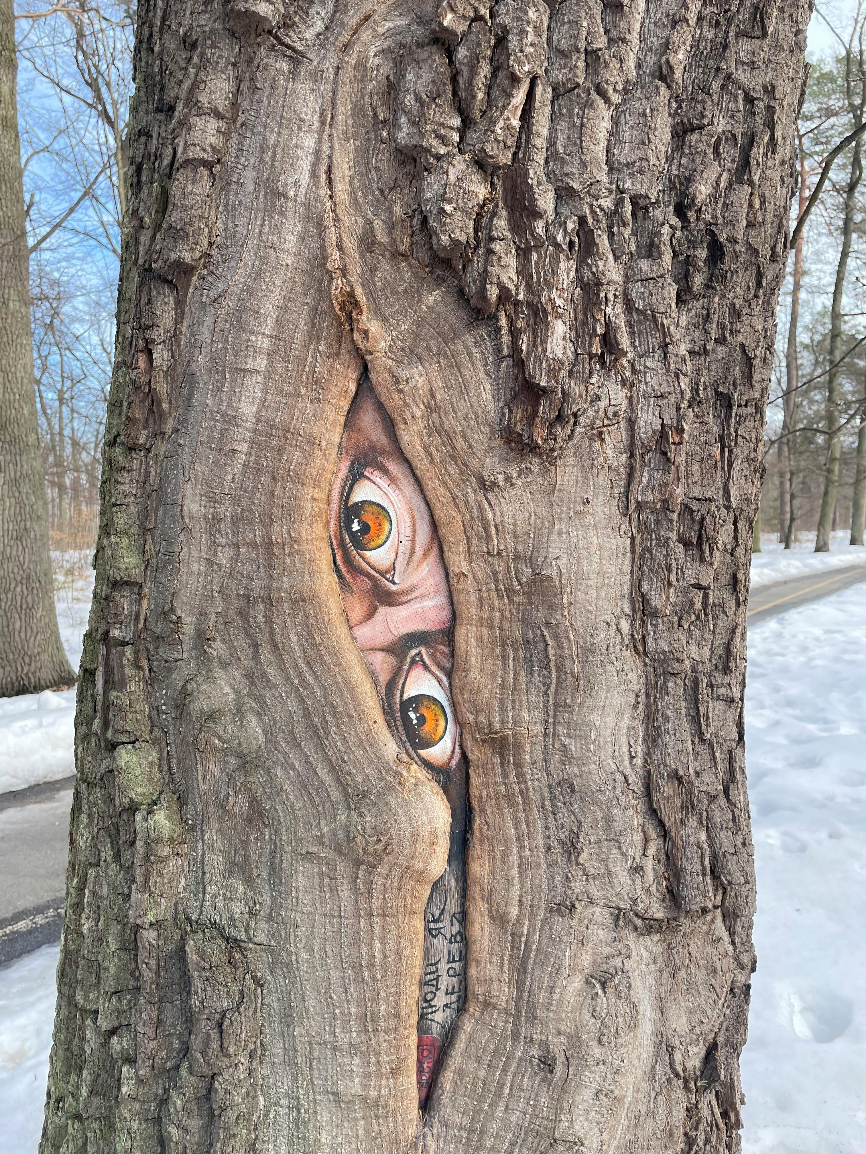 бесплатная Художественное граффити в виде глаз на стволе дерева в заснеженном парке. Стоковое фото