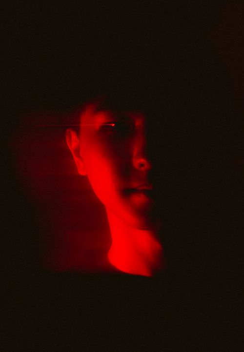 Catspaw Hollow cover art. Photo by Murun. E on Pexels