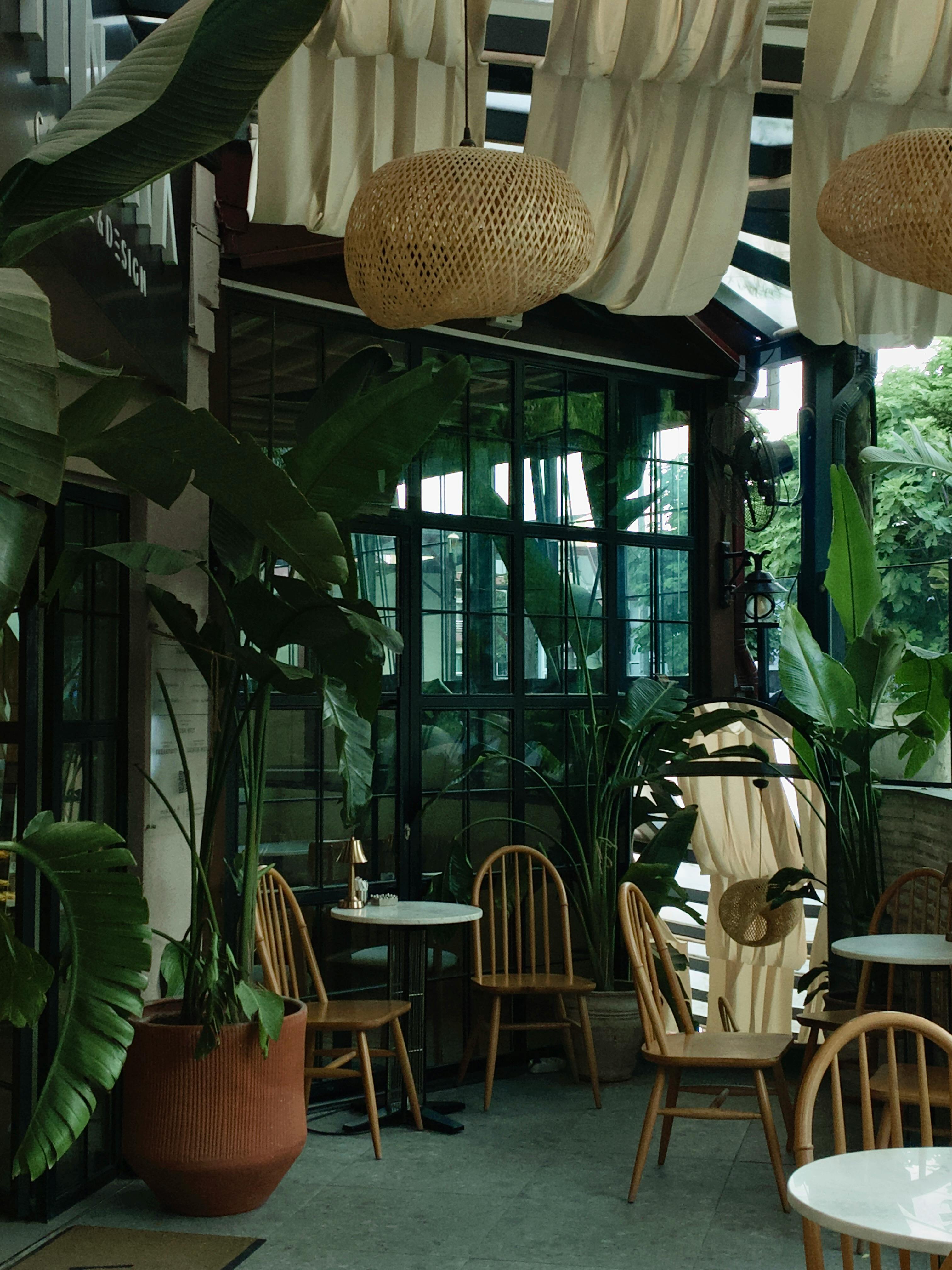 無料 木製の椅子と緑豊かな植物が備わった魅力的な屋外カフェ。静かなコーヒーブレイクに最適です。 写真素材