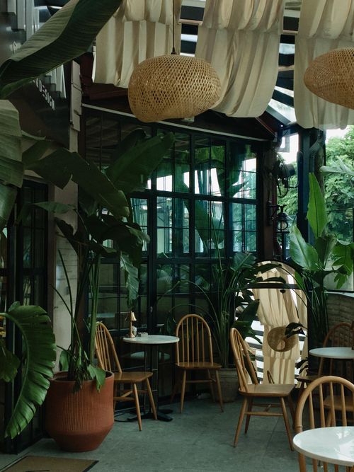 Free Charming outdoor cafe with wooden chairs and lush green plants, perfect for a serene coffee break. Stock Photo