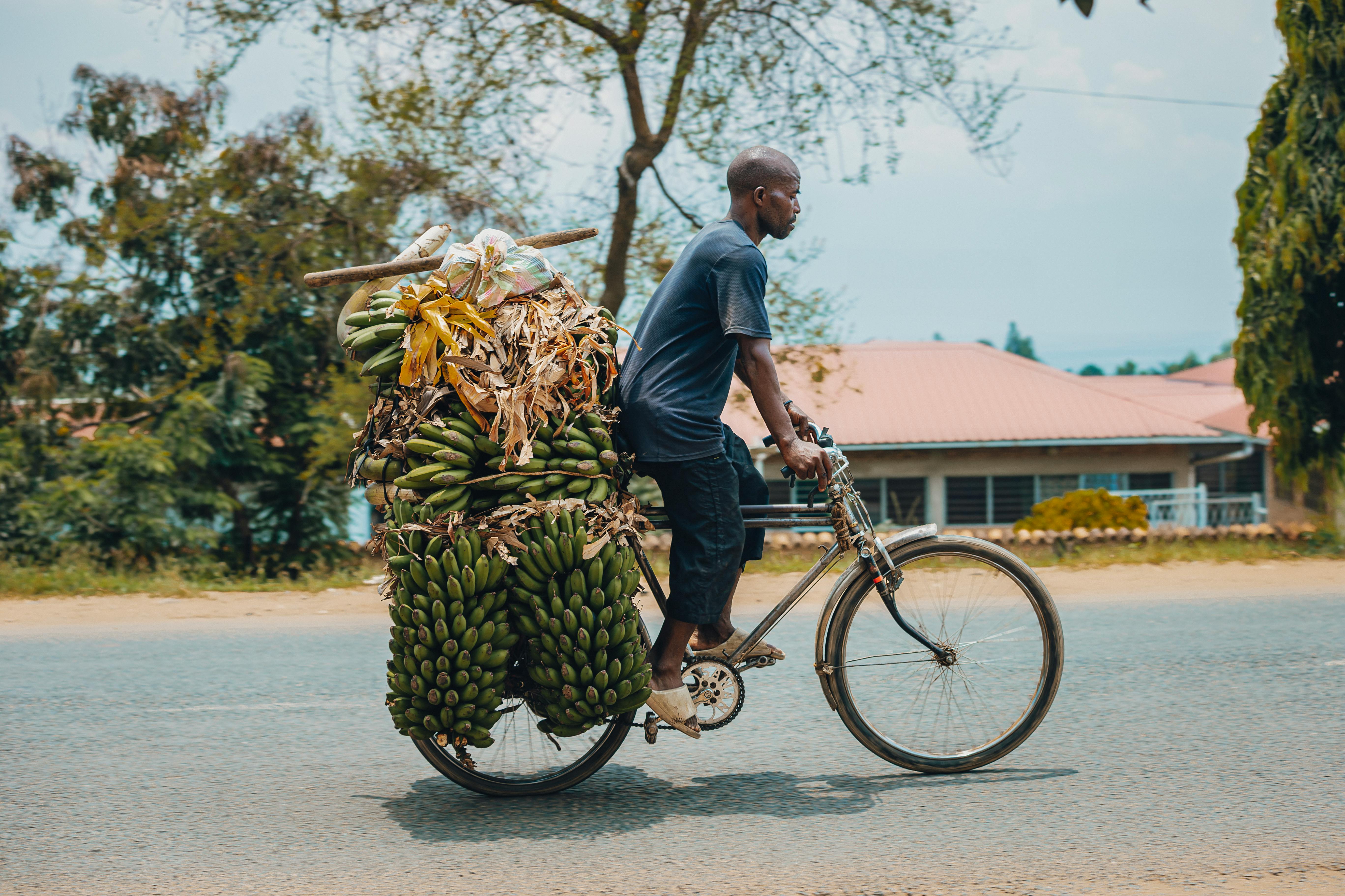 бесплатная Мужчина едет на велосипеде по дороге, нагруженном бананами, что демонстрирует особенности местного транспорта. Стоковое фото