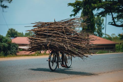 Rural Workers Transporting Firewood on Bicycles · Free Stock Photo