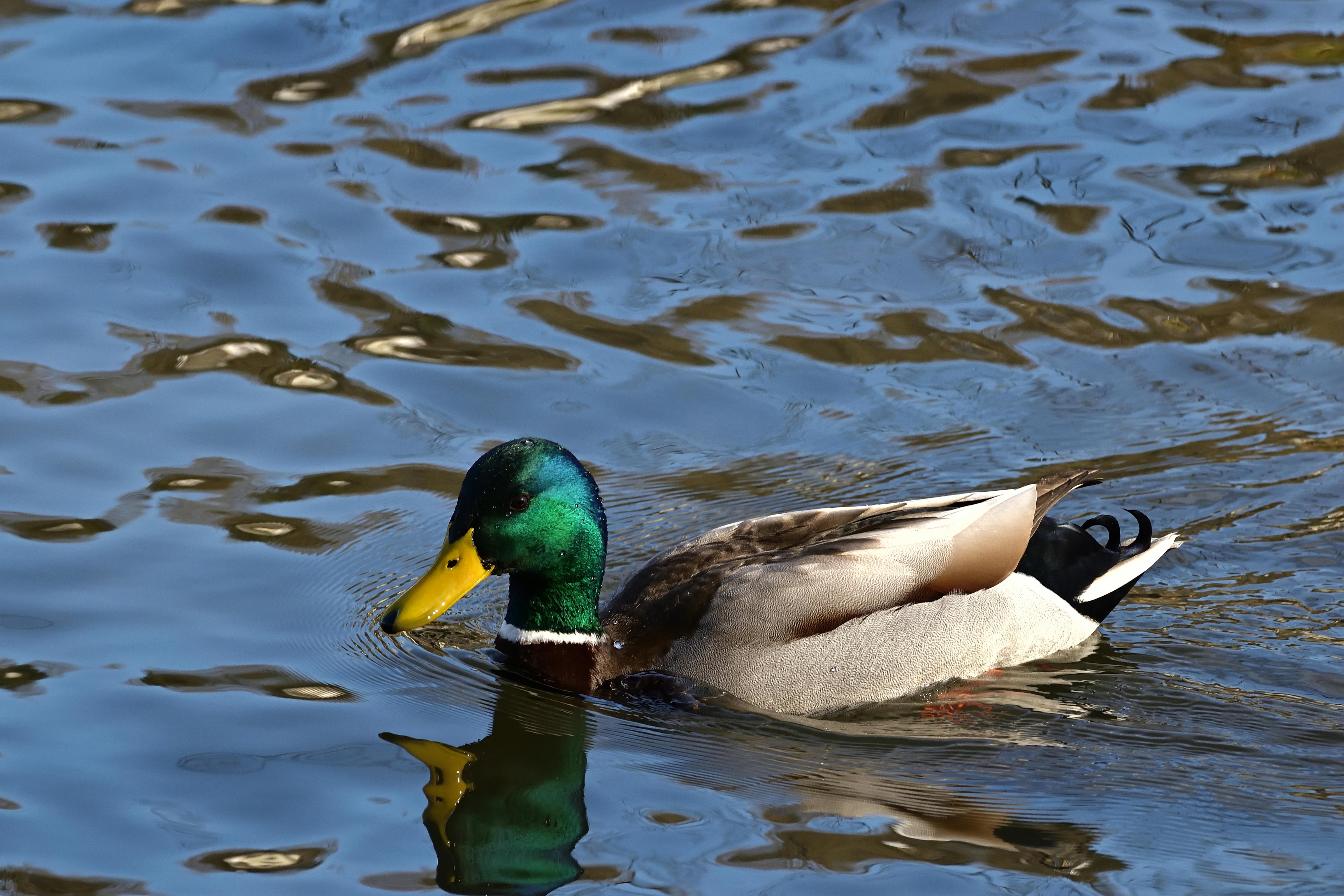 2012 Review of Drake Software — Drake Tax — Photo by Jürgen on Pexels
