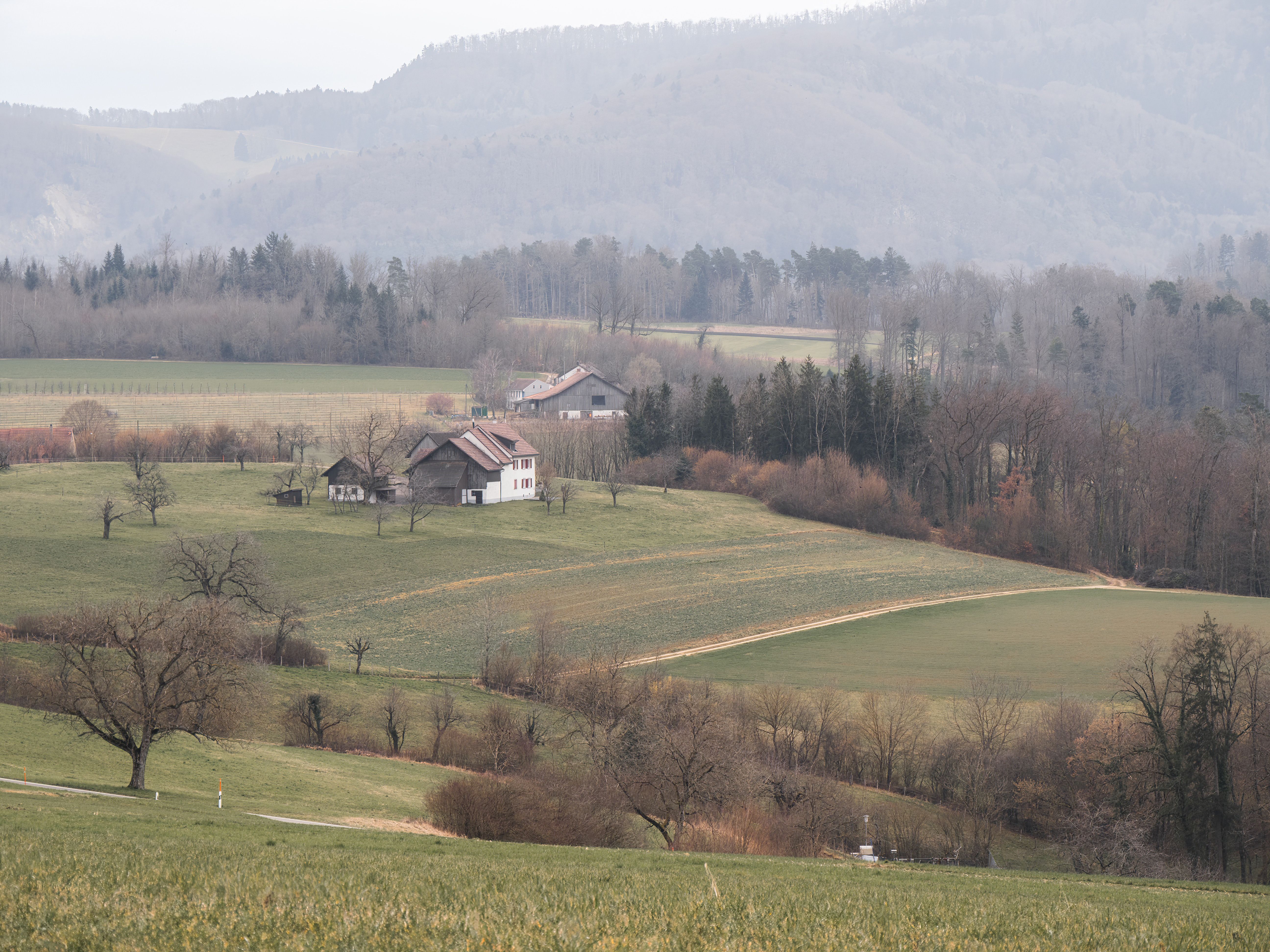 Scenic rural landscape with rolling hills · Free Stock Photo
