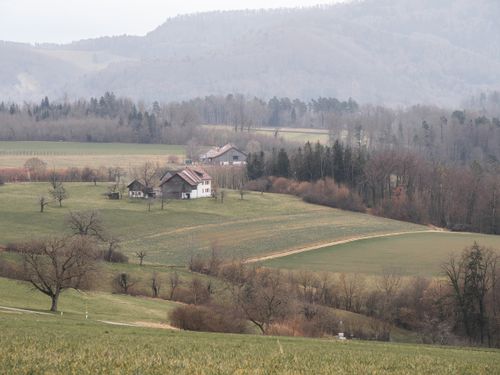 Free Idyllic view of a countryside with fields and houses on rolling hills on an overcast day. Stock Photo