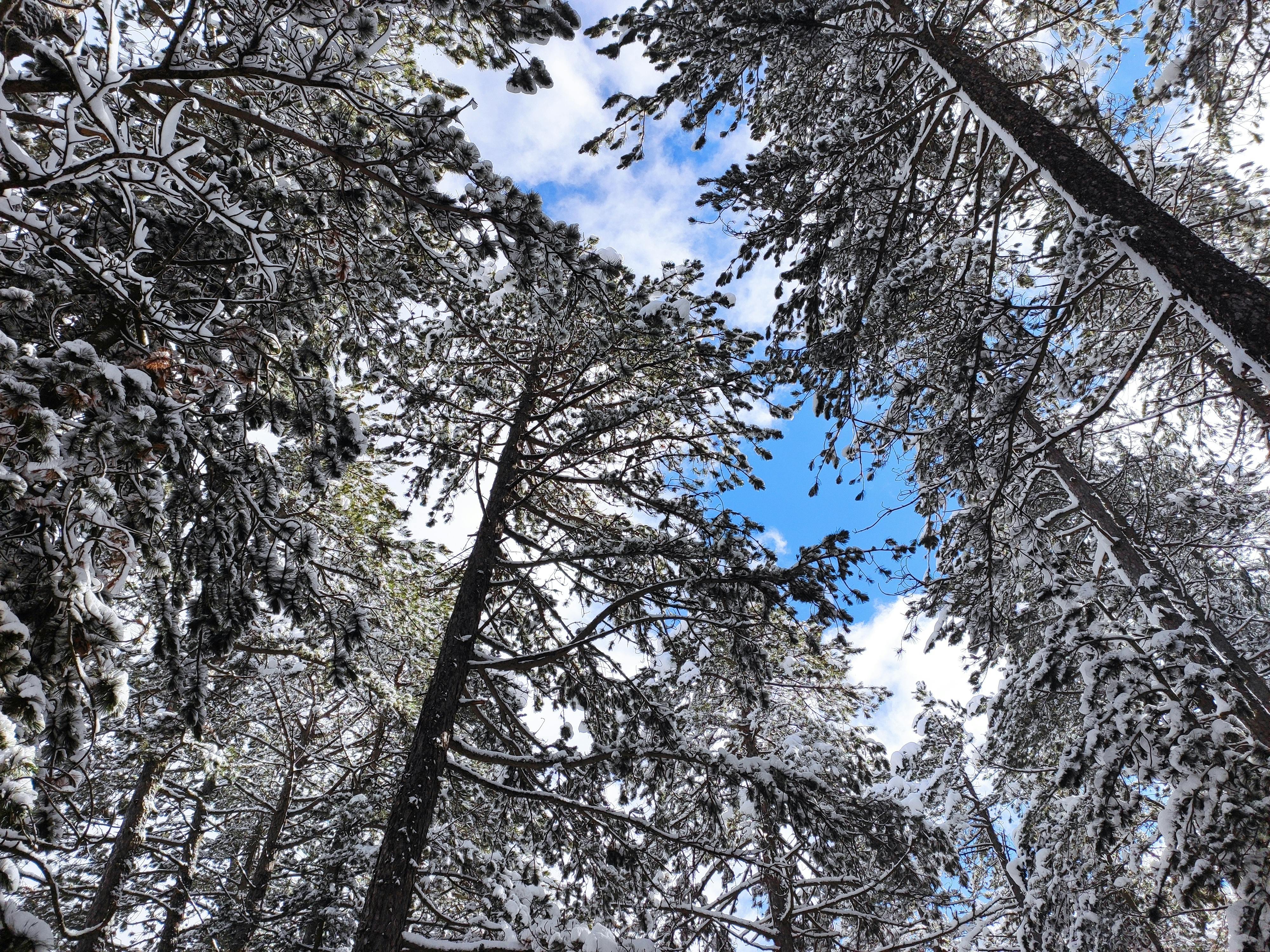 無料 コールド, サラエボ, トレベビッチの無料の写真素材 写真素材