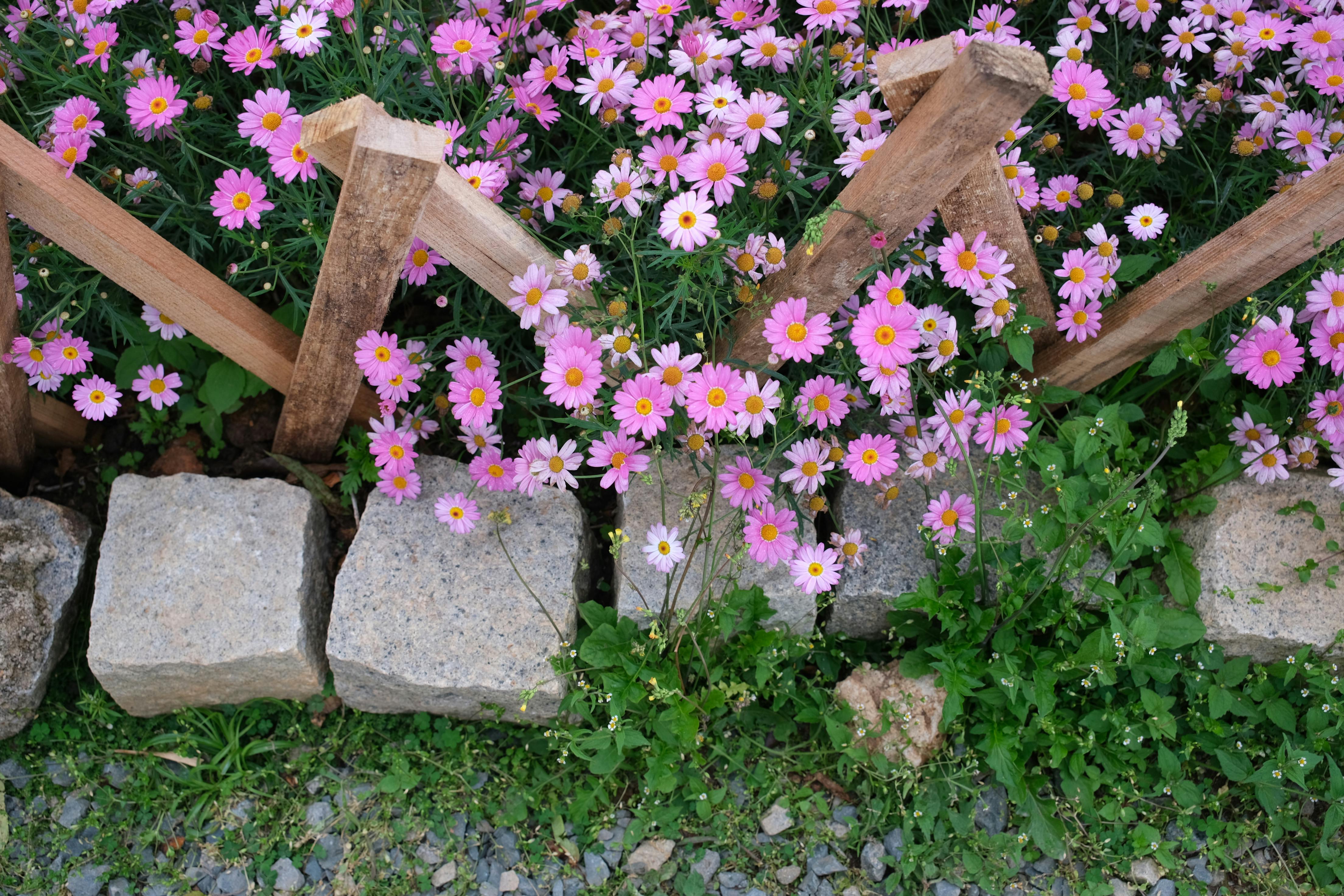 Paysagiste à votre ville - Askaide