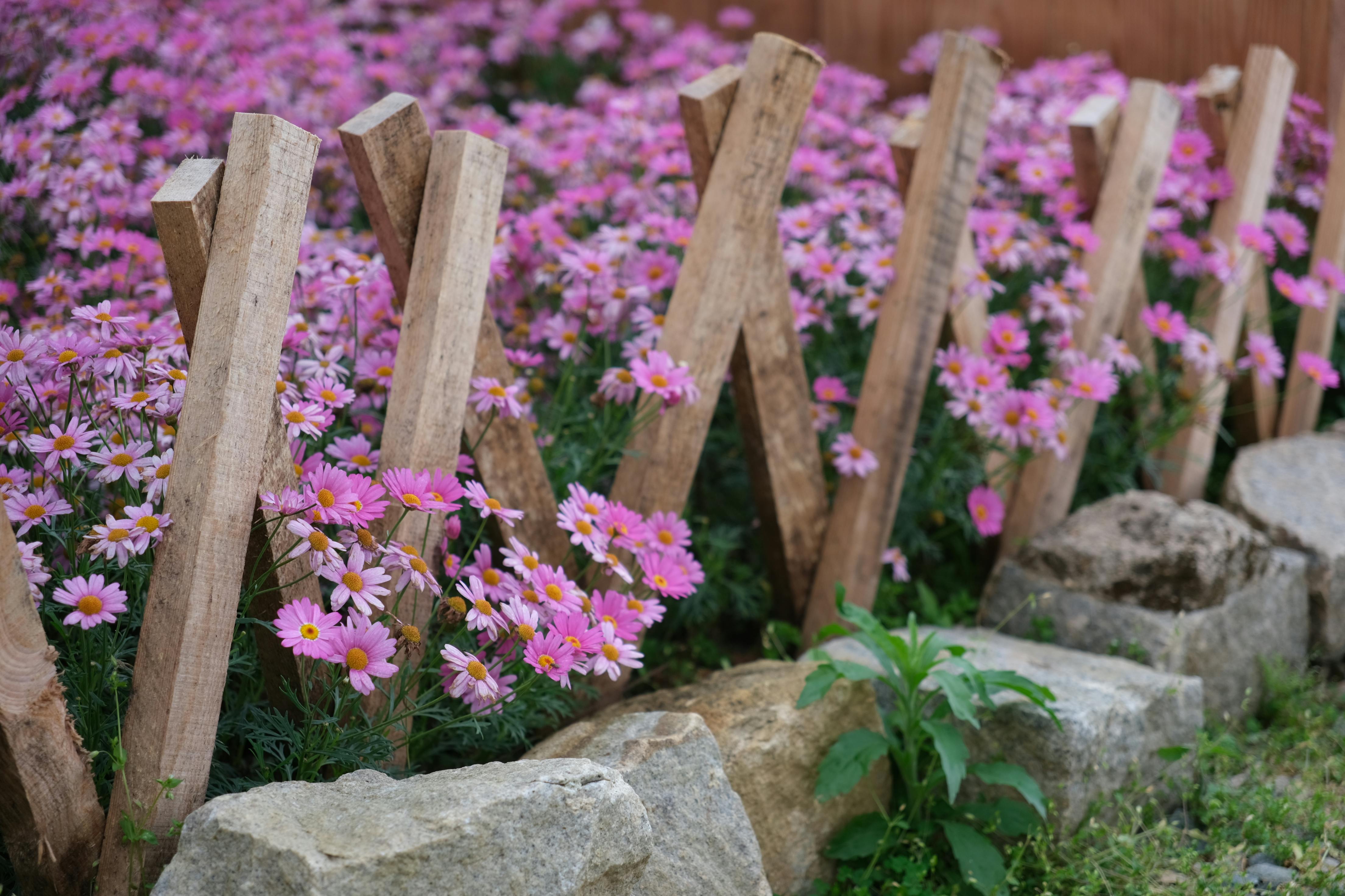 Service de Paysagiste votre ville - Askaide