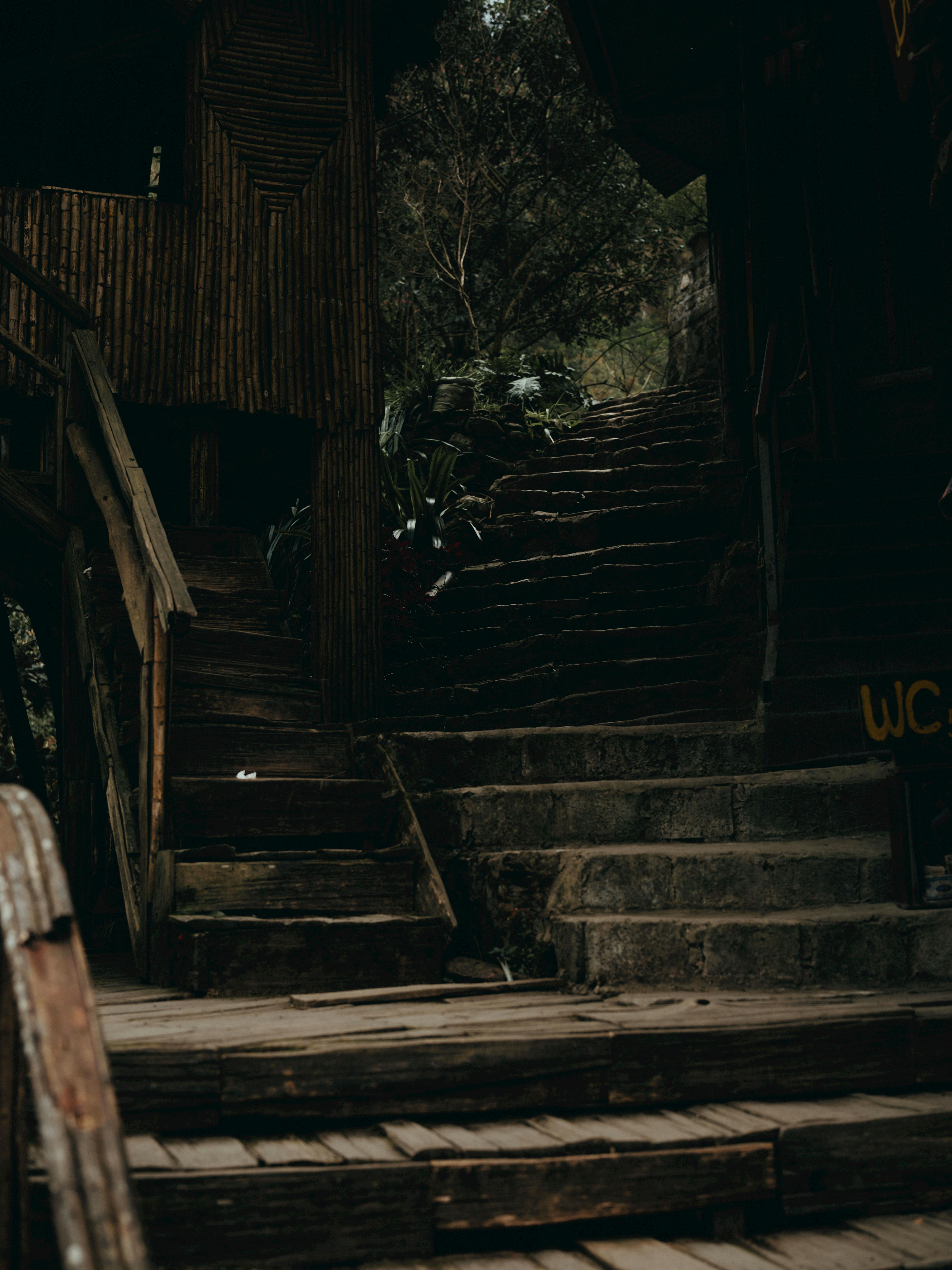 Free Dark and moody rustic wooden staircase leading to lush greenery in Lào Cai, Vietnam. Stock Photo