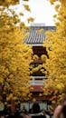 Yellow Blossom Trees Framing Traditional Architecture