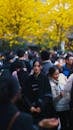 Crowded Street Scene with Vibrant Yellow Foliage