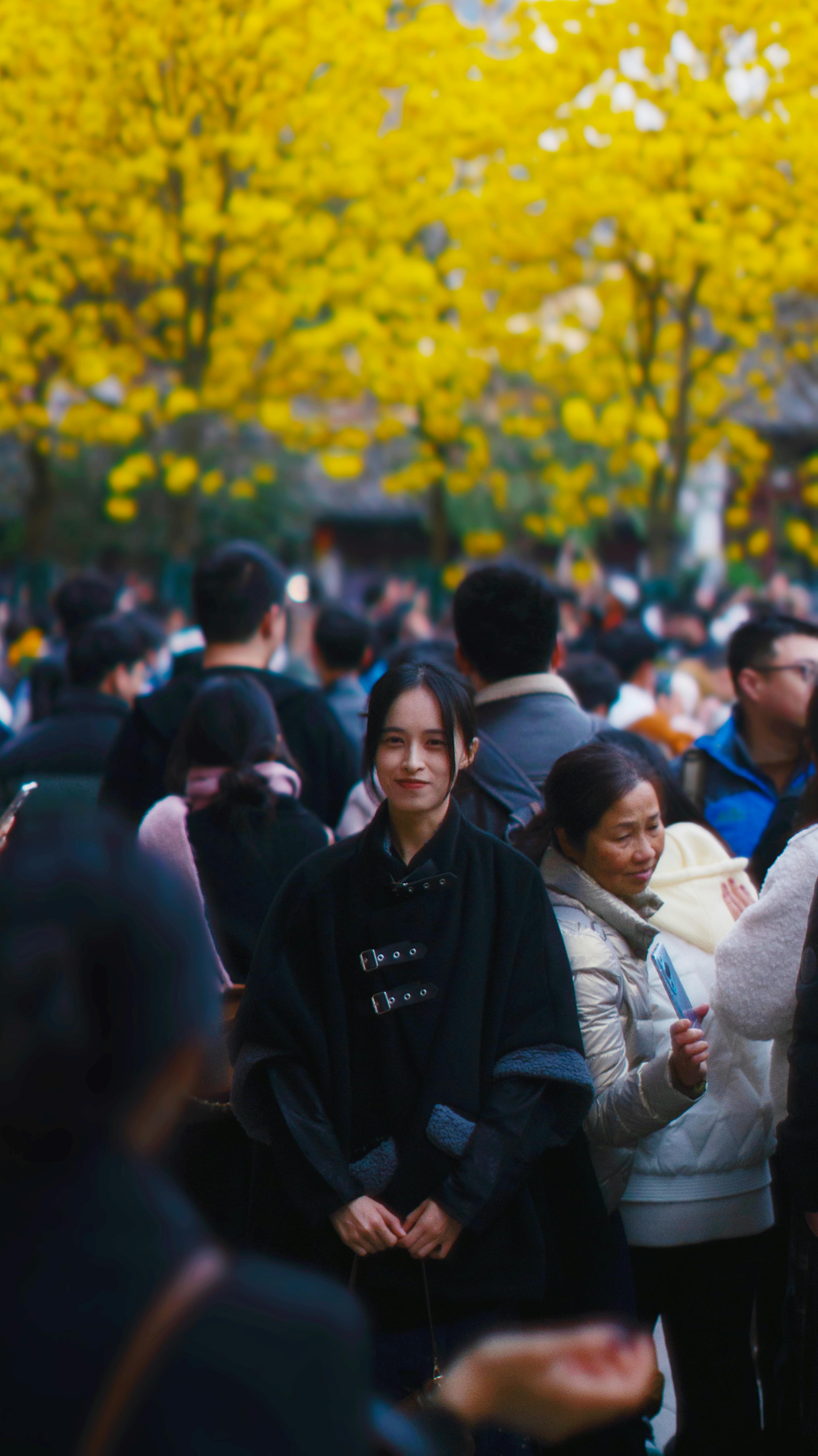 Crowded Street Scene with Vibrant Yellow Foliage