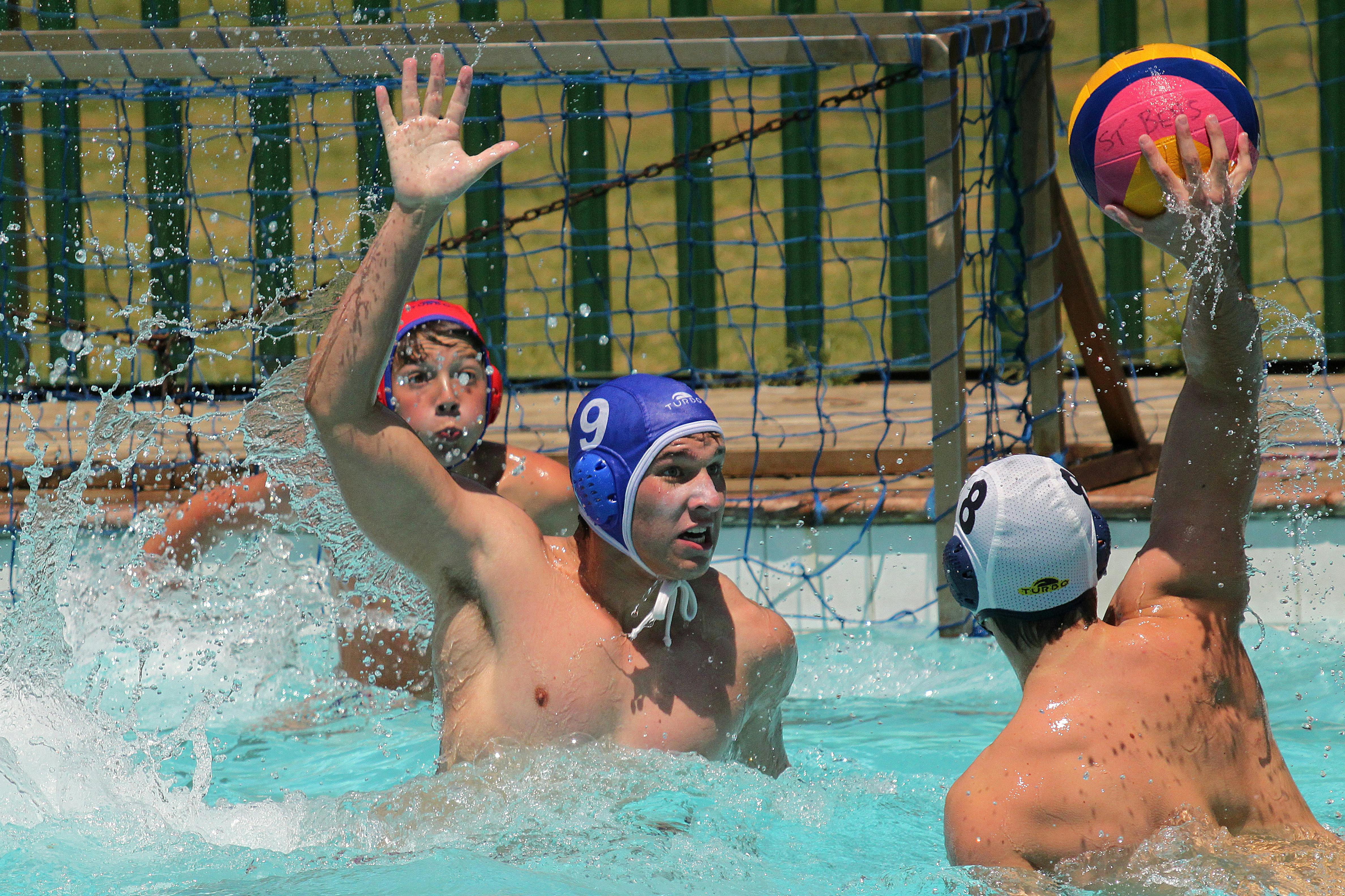Water Polo Photos, Download The BEST Free Water Polo Stock Photos & HD  Images