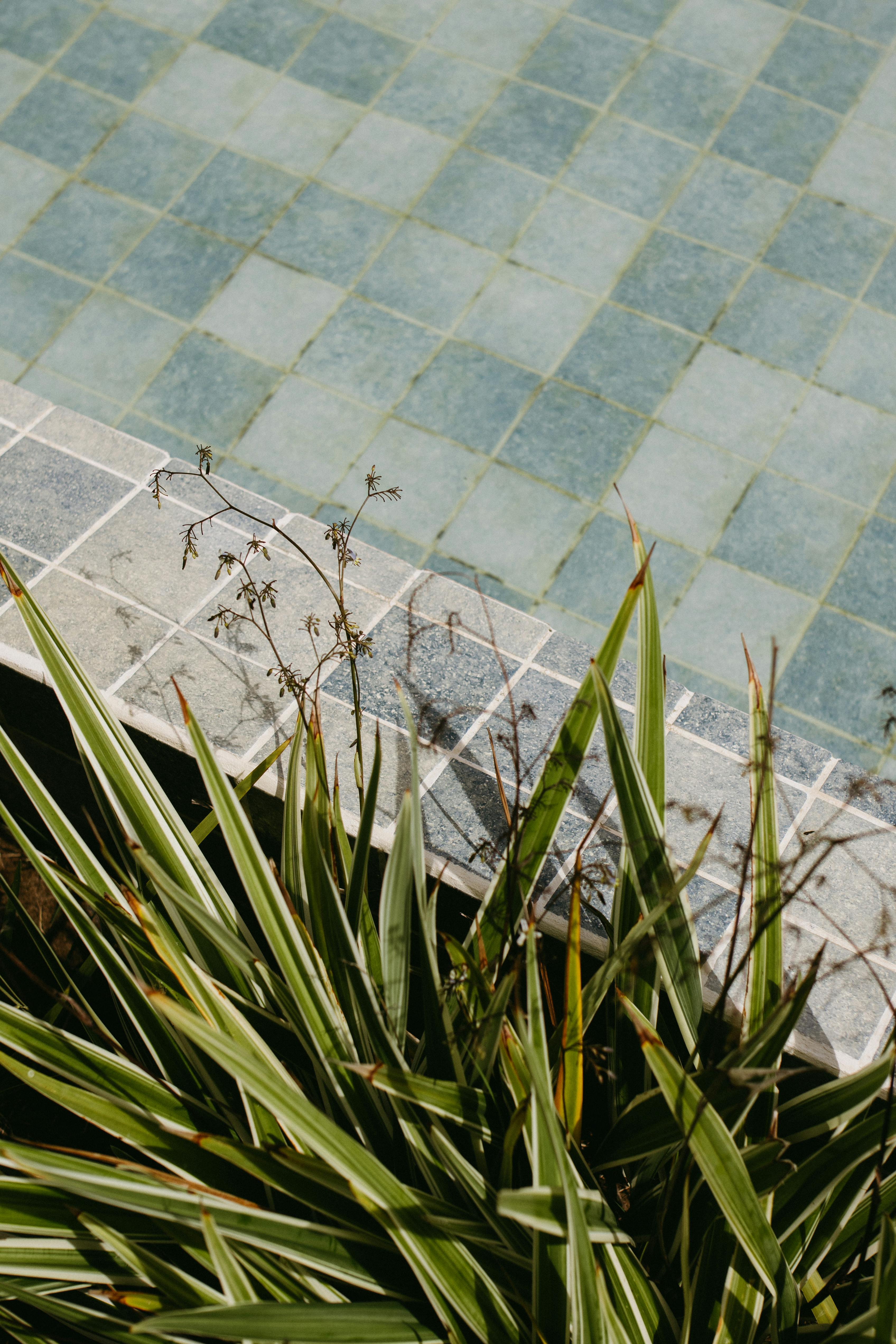 Gratis lagerfoto af afslapning, arkitektur, bahia Lagerfoto