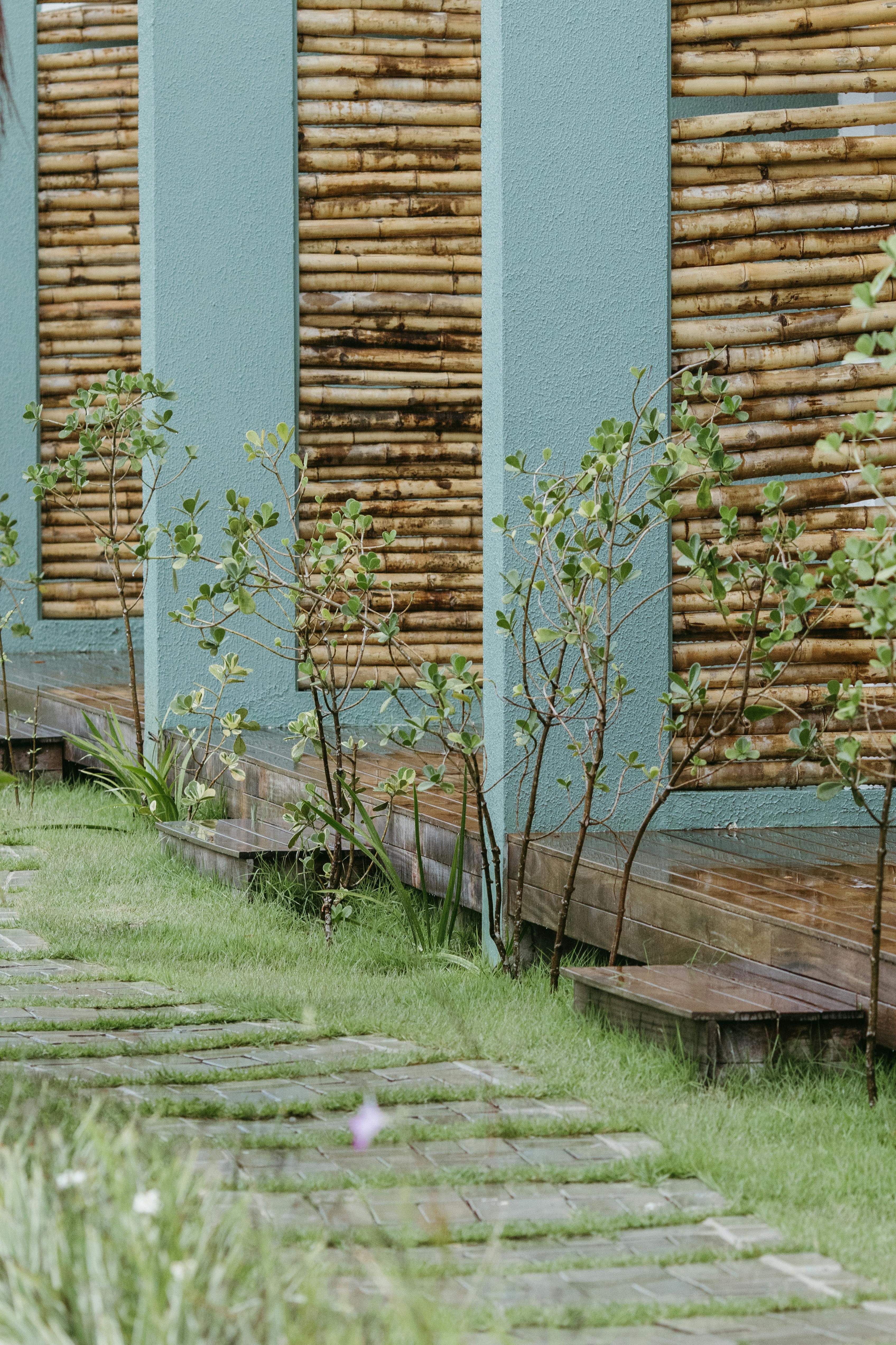 Gratis Muro di bambù con piante verdi e sentieri erbosi in un giardino tropicale a Bahia, Brasile. Foto a disposizione