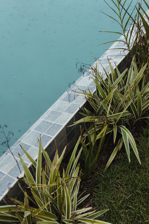 Free A serene poolside with vibrant plants and clear water in Bahia, Brasil. Stock Photo