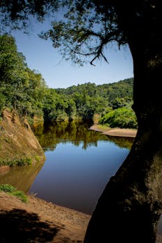 A tranquil view of a river bend surrounded by dense forest under a clear blue sky.
