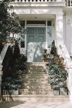 Green Plants on White Concrete Staircase