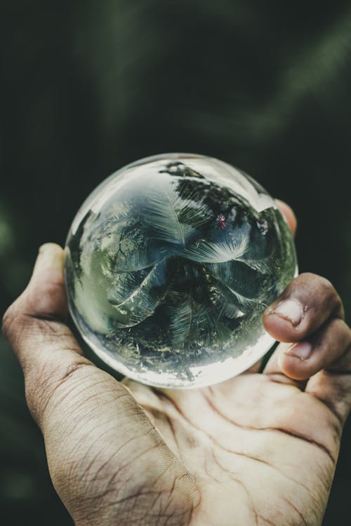 Personne Tenant Une Boule De Verre Transparent