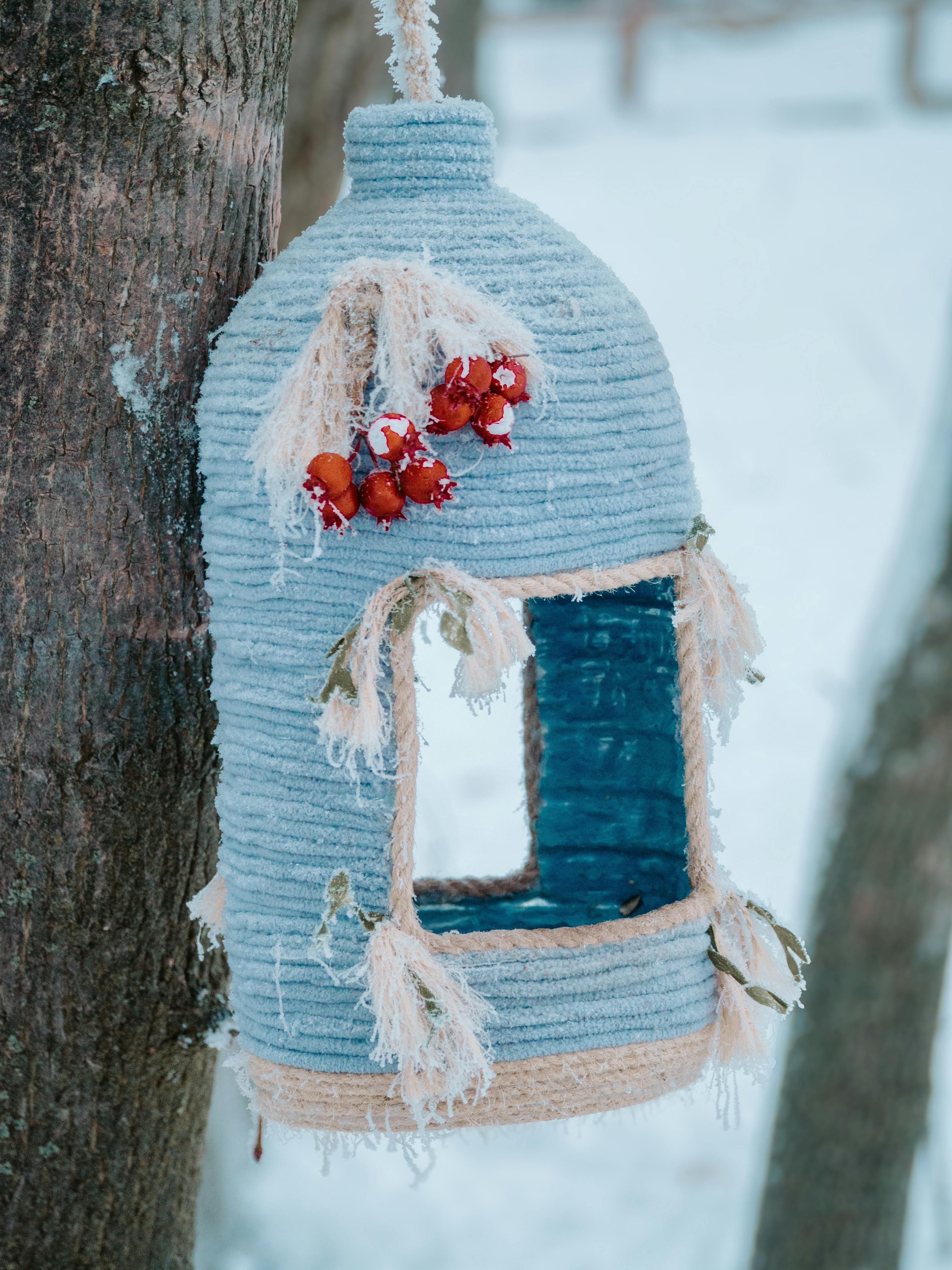Free Handcrafted birdhouse embellished with berries hanging on a tree during winter in Russia. Stock Photo