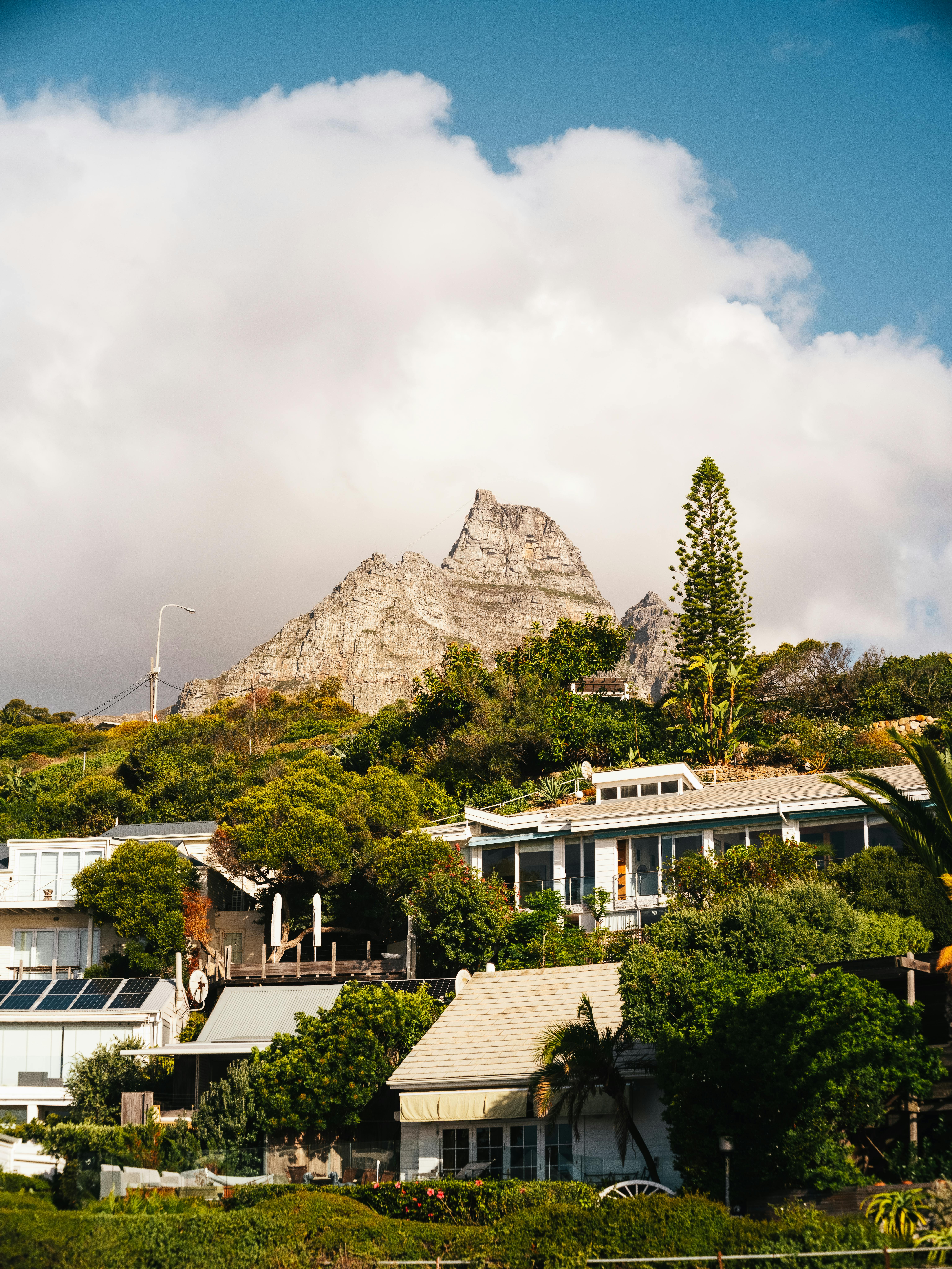 Stunning view of Cape Town suburb with majestic mountain and lush greenery under a cloudy sky.
