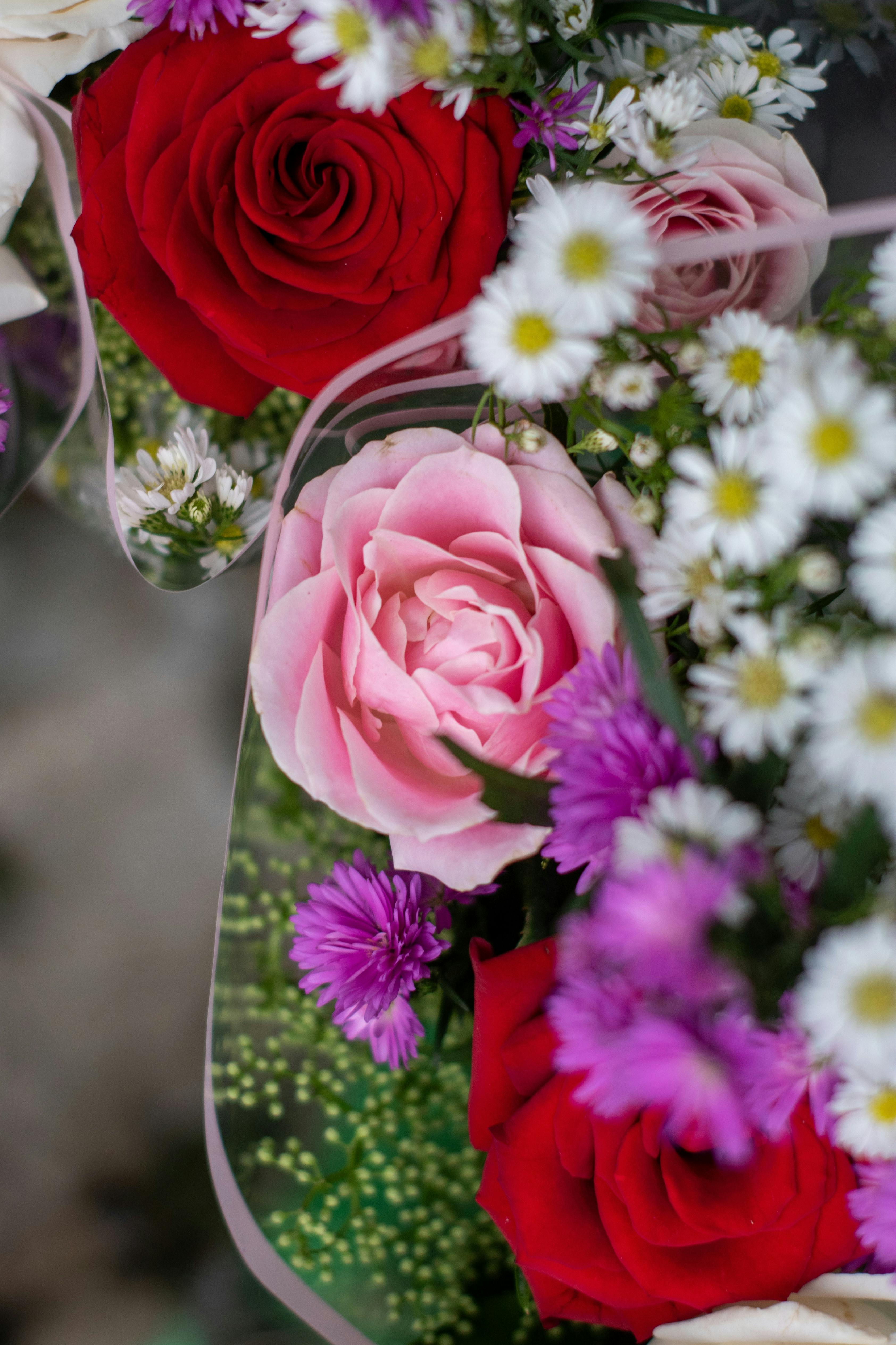 [ColoSach]-a-vibrant-floral-arrangement-featuring-red-and-pink-roses-with-daisies,-capturing-the-essence-of-nature's-beauty.