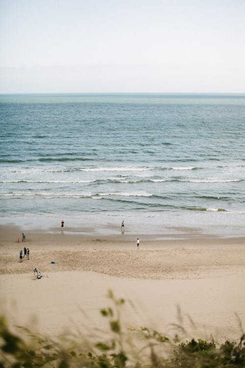 Photo of People on Beach