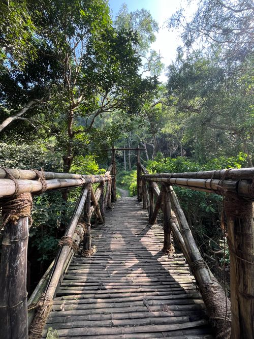 Free A scenic view of a rustic bamboo bridge in the lush forest of Kodaikanal, Tamil Nadu, India. Stock Photo