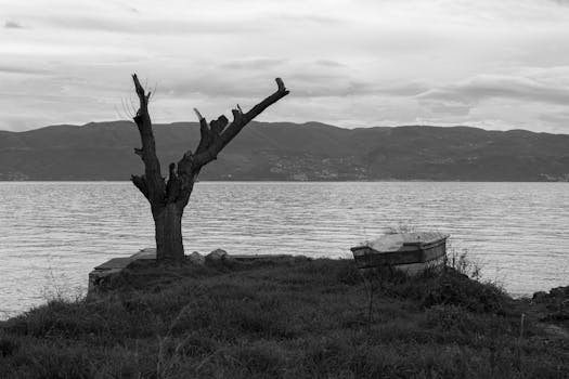 Black and white image of a lone tree and boat by the water in İzmit, Türkiye.