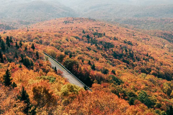 Autumn color across the open Graveyard Fields valley on the Blue Ridge Parkway