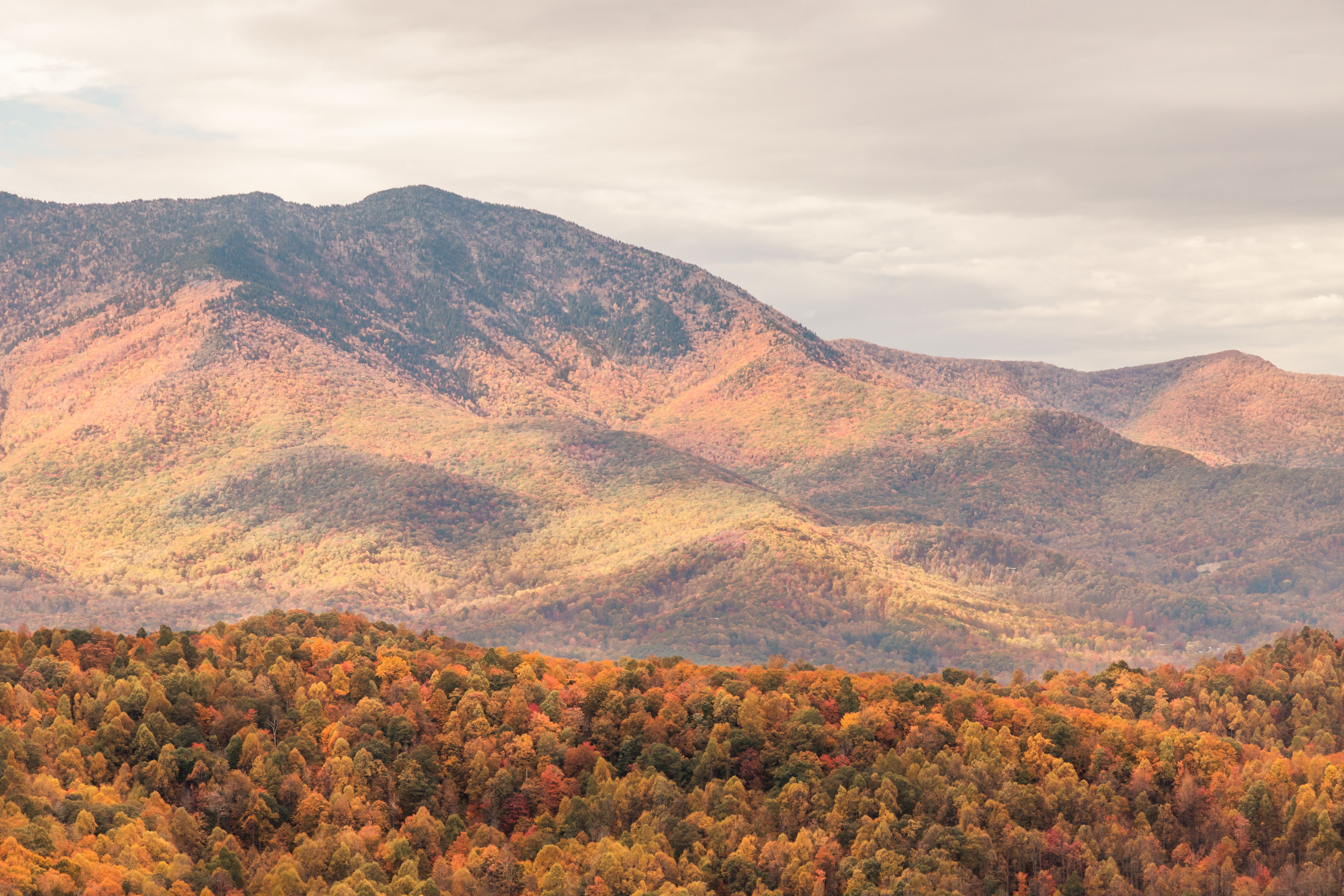 Beautiful autumn landscape of the Great Smoky Mountains with vibrant fall foliage.