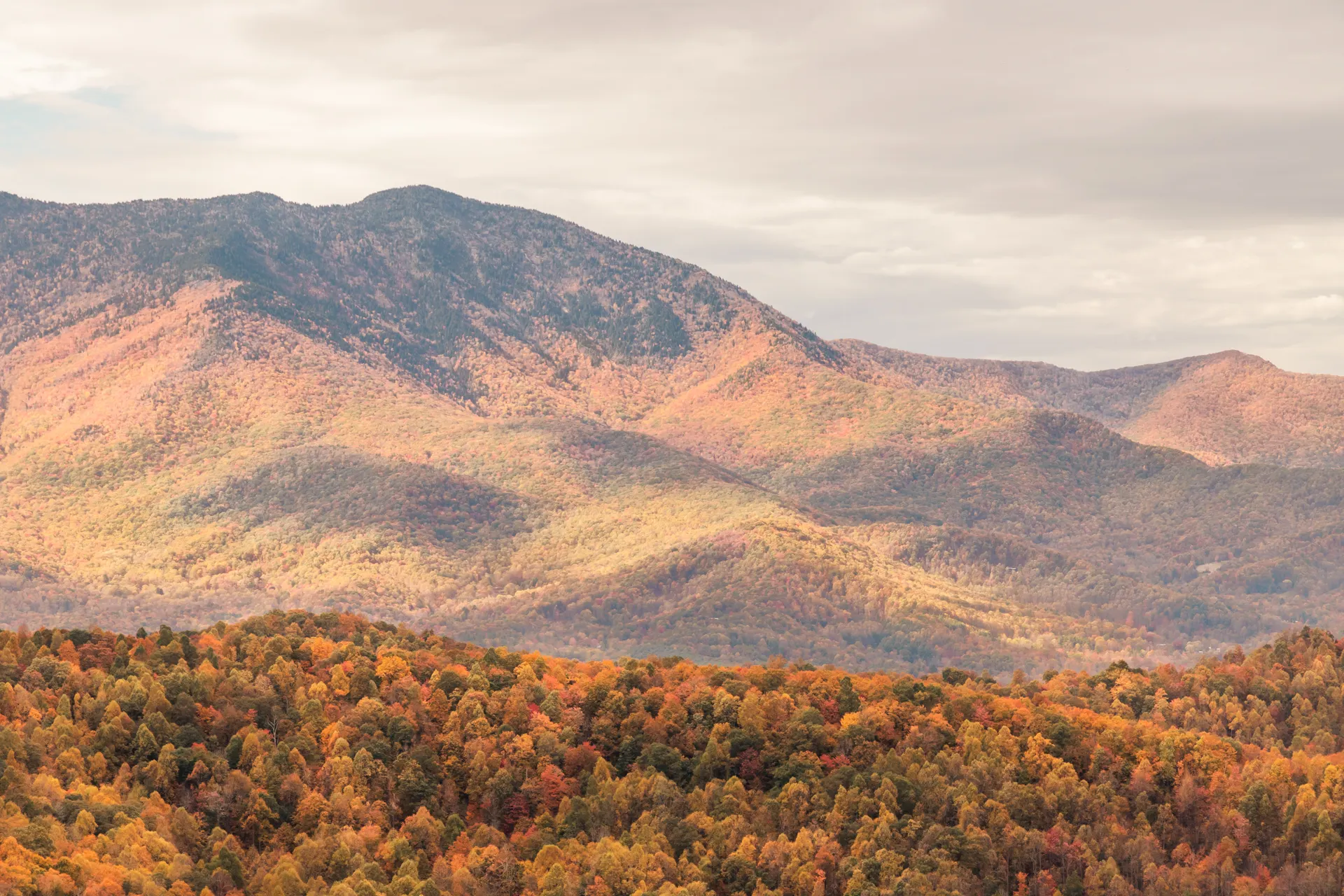 The Best Waterfall Hikes in the Great Smoky Mountains