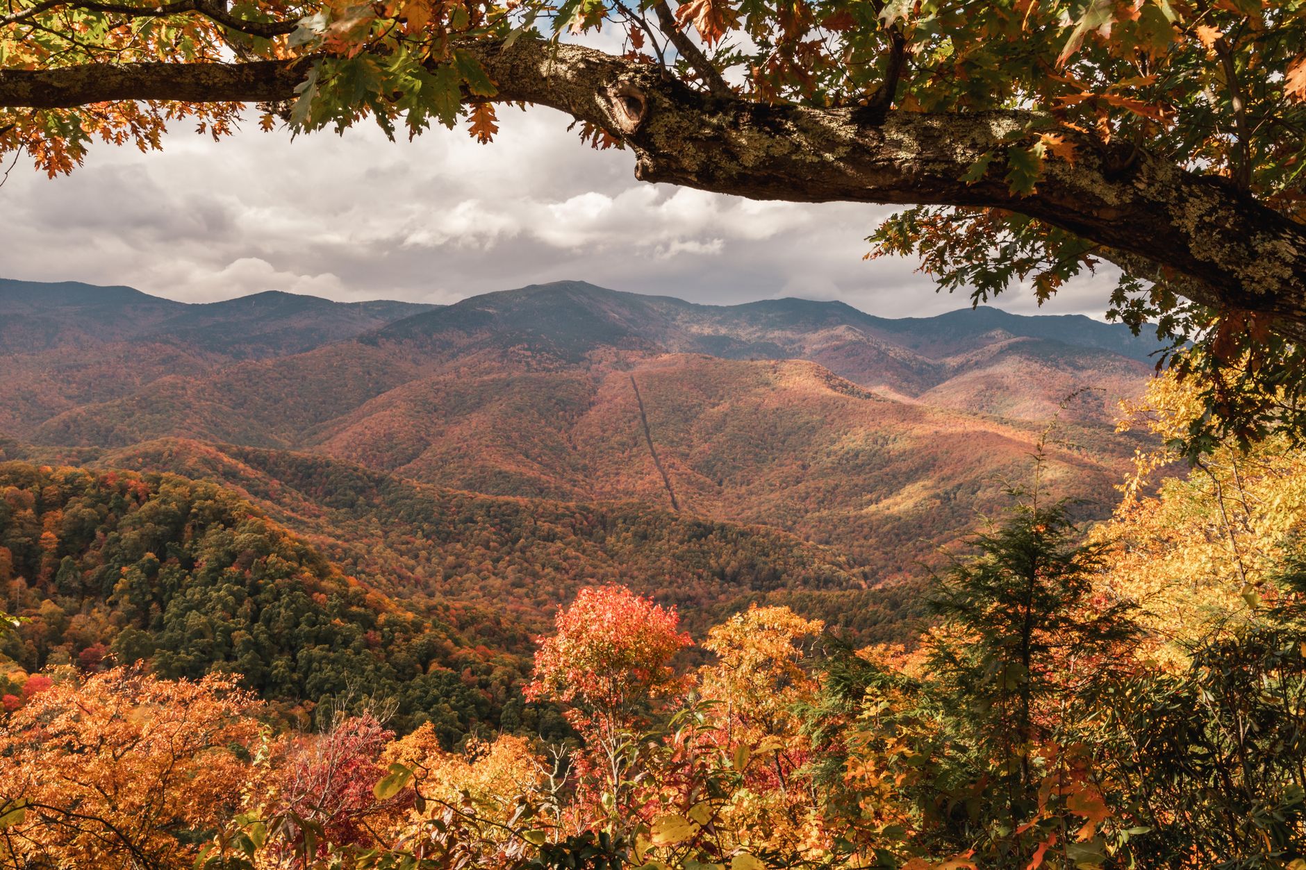 Seasonal landscape near Springfield Tennessee